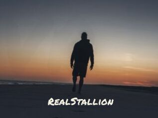 RealStallion