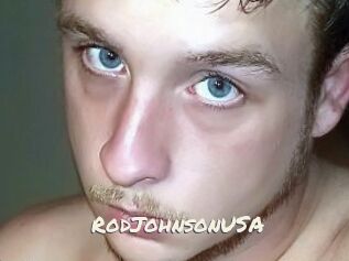 RodJohnsonUSA