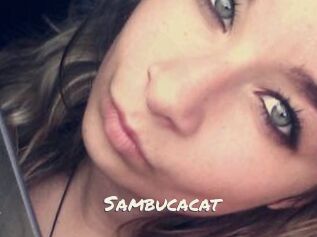 Sambucacat