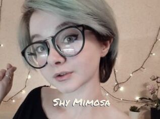 Shy_Mimosa