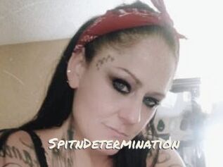 SpitnDetermination