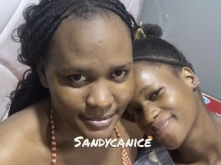 Sandycanice