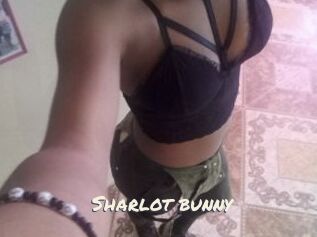 Sharlot_bunny