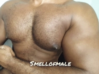 Smellofmale