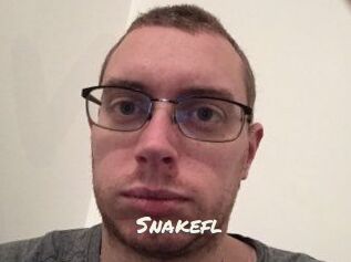 Snakefl