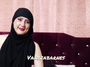 Vanezabarnes