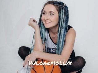 Vulgarmollyx