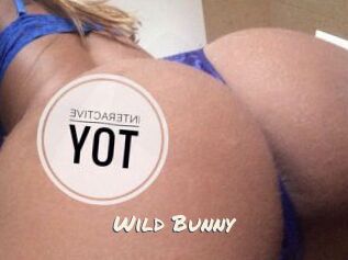 Wild_Bunny_