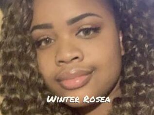 Winter_Rosea