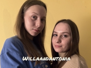 Willaandantonia